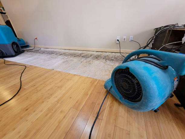 Professional Sewage Cleanup technician working in Summerfield, MD